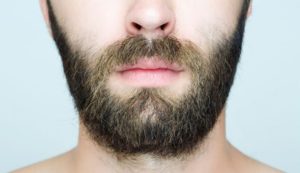 زراعة اللحية في طرابزون