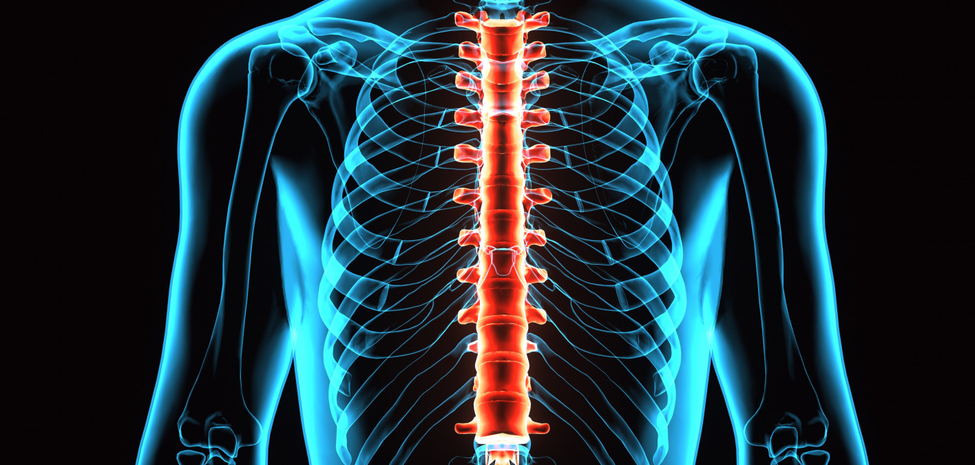 أجهزة العمود الفقري
