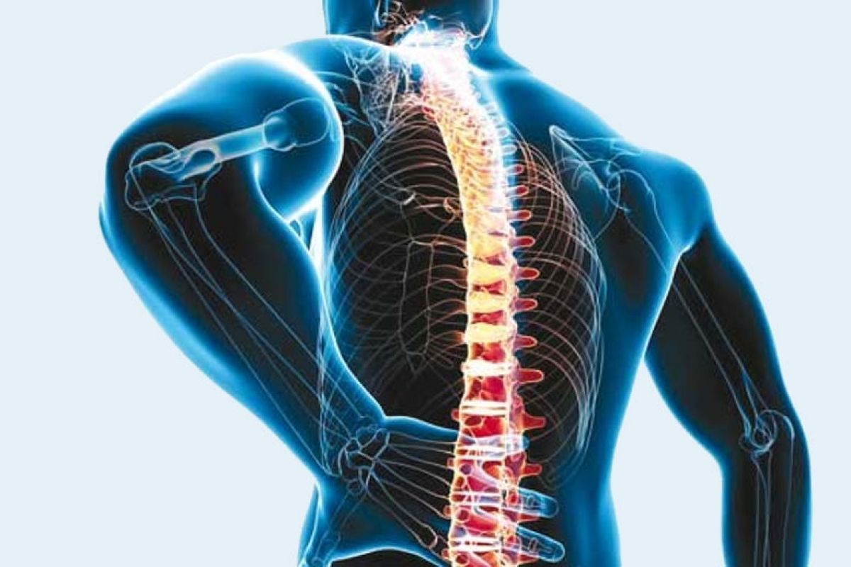 جراحة العمود الفقري في تركيا