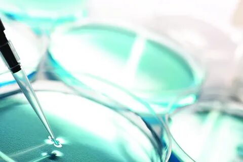 تكلفة التلقيح الصناعي في تركيا