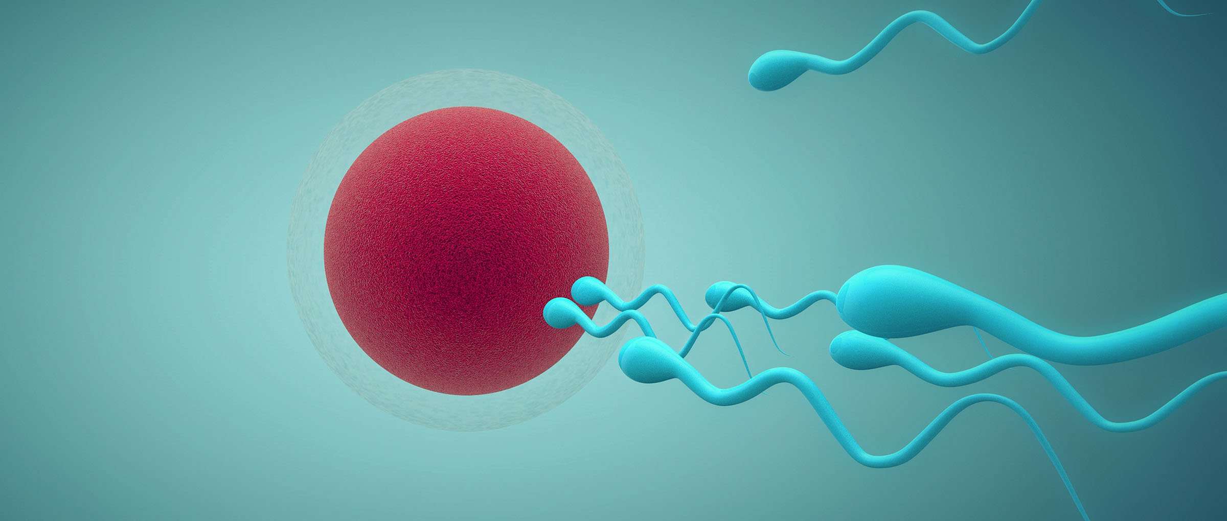 فحص pgd في تركيا